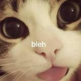 (Category: ) located in . Submitted by pokerface_cat (Listing ID 1443544919, Image 1). Description: .