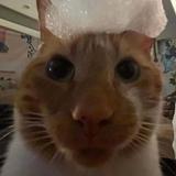 (Category: ) located in . Submitted by aiqahzhn (Listing ID 1457369274, Image 1). Description: .