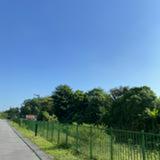 (Category: ) located in . Submitted by cloudecc (Listing ID 1441727087, Image 1). Description: .