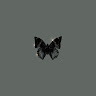 (Category: ) located in . Submitted by humairoarr (Listing ID 1466668534, Image 1). Description: .