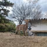 (Category: ) located in . Submitted by bbyty (Listing ID 1439780164, Image 1). Description: .
