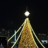 (分類:)位於 。 由 xxxxha_y 提交(商品編號 1458613455,圖片 1)。簡介: 。