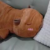 (Category: ) located in . Submitted by mitaka9881 (Listing ID 1451335528, Image 1). Description: .