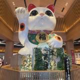 (分類:)位於 。 由 cheungsius48759 提交(商品編號 1460943062,圖片 1)。簡介: 。