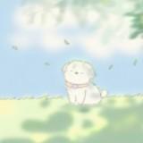 (分類:)位於 。 由 shxvj 提交(商品編號 1455005743,圖片 1)。簡介: 。