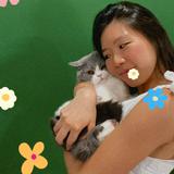 (Category: ) located in . Submitted by _dearmeow (Listing ID 1449123409, Image 1). Description: .
