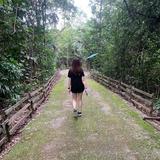 (Category: ) located in . Submitted by sereenml (Listing ID 1442261482, Image 1). Description: .