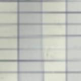 (Category: ) located in . Submitted by la_land0 (Listing ID 1444497418, Image 1). Description: .