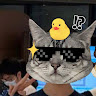 (分類:)位於 。 由 ryanthealmond 提交(商品編號 1457688614,圖片 1)。簡介: 。