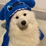 (Category: ) located in . Submitted by ndzzlim (Listing ID 1444070621, Image 1). Description: .