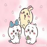 (分類:)位於 。 由 desmin122 提交(商品編號 1454895799,圖片 1)。簡介: 。