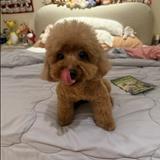 (Category: ) located in . Submitted by qweatee (Listing ID 1441828933, Image 1). Description: .