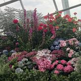 (Category: ) located in . Submitted by newbear_add20d (Listing ID 1442138527, Image 1). Description: .