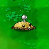 (Category: ) located in . Submitted by yekindarsg (Listing ID 1442334476, Image 1). Description: .
