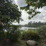 (Category: ) located in . Submitted by ariffy. (Listing ID 1442833442, Image 1). Description: .