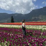 (Category: ) located in . Submitted by sjwe03 (Listing ID 1442398951, Image 1). Description: .