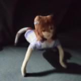 (Category: ) located in . Submitted by happy.komiy (Listing ID 1455132680, Image 1). Description: .