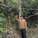 (Category: ) located in . Submitted by pszuel (Listing ID 1402179451, Image 1). Description: .