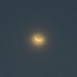 (Category: ) located in . Submitted by kosucrust (Listing ID 1442754517, Image 1). Description: .
