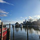(Category: ) located in . Submitted by cl534 (Listing ID 1442785823, Image 1). Description: .