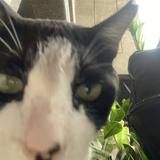 (Category: ) located in . Submitted by gab.gabba (Listing ID 1443904823, Image 1). Description: .