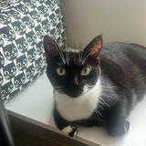 (Category: ) located in . Submitted by alejandr0_ (Listing ID 1430915162, Image 1). Description: .