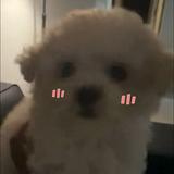(Category: ) located in . Submitted by lalalalyb (Listing ID 1443018598, Image 1). Description: .