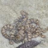 (Category: ) located in . Submitted by flatfishsg (Listing ID 1443273672, Image 1). Description: .