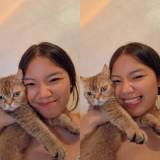 (Category: ) located in . Submitted by hanialoves33763 (Listing ID 1443628871, Image 1). Description: .