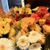 (Category: ) located in . Submitted by imlmlee (Listing ID 1444562203, Image 1). Description: .