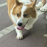 (分類:)位於 。 由 vasteagle.b92cde 提交(商品編號 1463052555,圖片 1)。簡介: 。