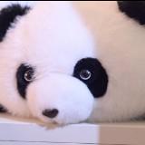 (分類:)位於 。 由 benfung20234252 提交(商品編號 1444051221,圖片 1)。簡介: 。