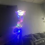 (Category: ) located in . Submitted by aminah76 (Listing ID 1444905757, Image 1). Description: .