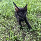 (Category: ) located in . Submitted by antxjam_0707 (Listing ID 1444013042, Image 1). Description: .