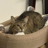 (Category: ) located in . Submitted by duckwithboots (Listing ID 1443890106, Image 1). Description: .
