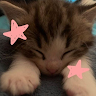 (Category: ) located in . Submitted by fifaworldcup67 (Listing ID 1444810477, Image 1). Description: .