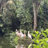 (Category: ) located in . Submitted by ttttt.68 (Listing ID 1444221516, Image 1). Description: .