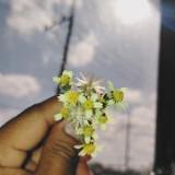 (Category: ) located in . Submitted by ukaynglahat (Listing ID 1444326456, Image 1). Description: .