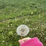 (分類:)位於 。 由 bizhi 提交(商品編號 1445292512,圖片 1)。簡介: 。