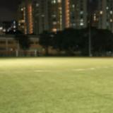 (Category: ) located in . Submitted by football282829 (Listing ID 1444577294, Image 1). Description: .