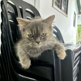 (Category: ) located in . Submitted by nicoleswif47049 (Listing ID 1444514557, Image 1). Description: .