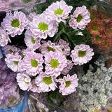 (Category: ) located in . Submitted by thats.isha (Listing ID 1444678166, Image 1). Description: .