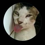 (Category: ) located in . Submitted by iskaahasueushss (Listing ID 1443134588, Image 1). Description: .