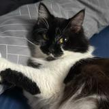 (Category: ) located in . Submitted by nohi.san (Listing ID 1445208141, Image 1). Description: .