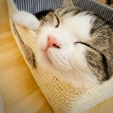 (分類:)位於 。 由 ntahysf 提交(商品編號 1452645505,圖片 1)。簡介: 。