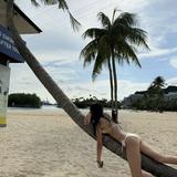(Category: ) located in . Submitted by usersotedi (Listing ID 1440669123, Image 1). Description: .