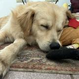 (Category: ) located in . Submitted by zen_mollygirl (Listing ID 1445521518, Image 1). Description: .