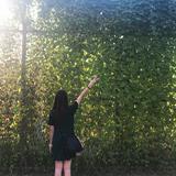 (Category: ) located in . Submitted by kikiy.17 (Listing ID 1454278997, Image 1). Description: .