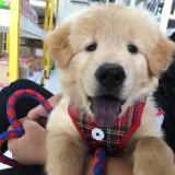 (Category: ) located in . Submitted by btsborahae.c69a21 (Listing ID 1445291402, Image 1). Description: .