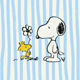 (Category: ) located in . Submitted by snoopy198 (Listing ID 1456331773, Image 1). Description: .